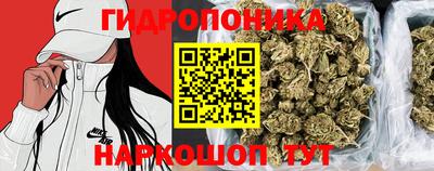 apvp Пыть-Ях