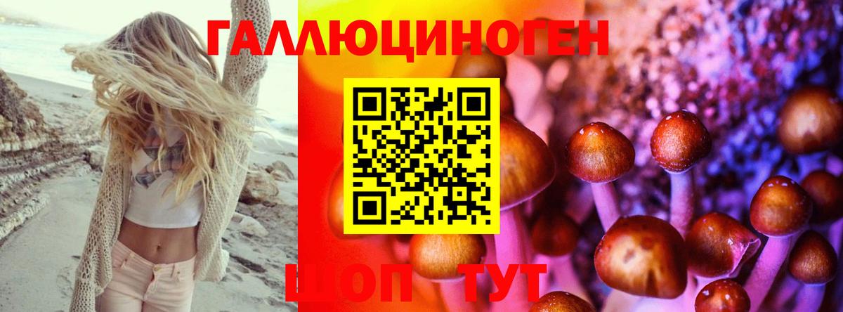 Подольск  Галлюциногенные грибы Psilocybe  Вход с VPN 